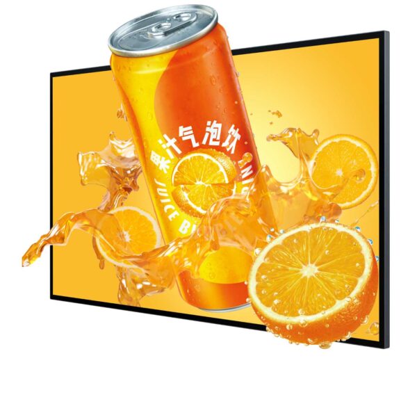 lenticular monitor