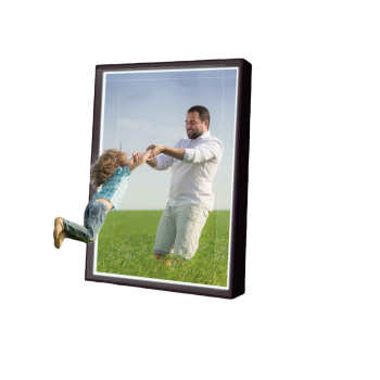 Holographic Picture Frame Holographic Picture Frame